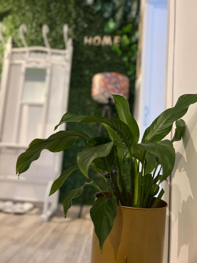 Sweet Home Apartament Predeal Eksteriør billede